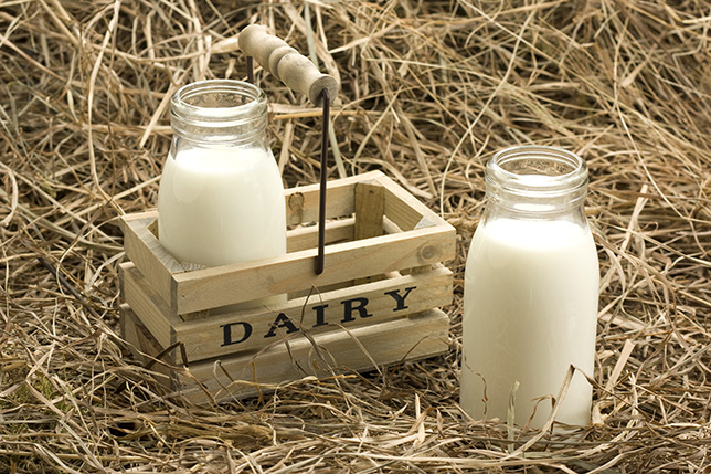 Бизнес план молочной фермы